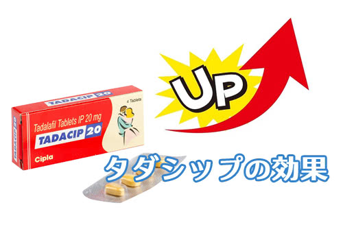 タダシップの効果についての解説